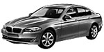 BMW F10 P025B Fault Code